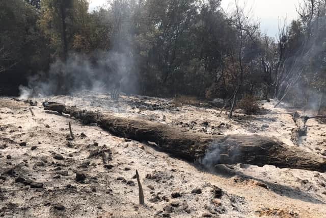 Wildfire devastation. Photo: National Fire Chiefs Council