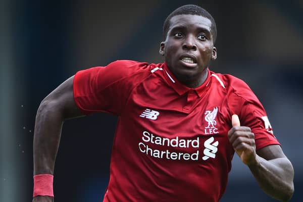 Sheyi Ojo. Picture: Nathan Stirk/Getty Images