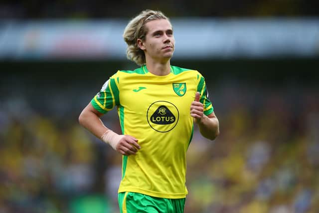 Norwich midfielder Todd Cantwell. Picture: Marc Atkins/Getty Images