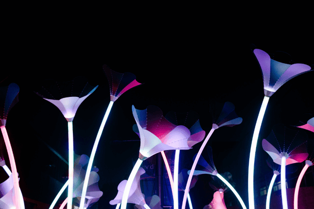 Trumpet Flowers - part of the River of Light trail. Image: Visit Liverpool
