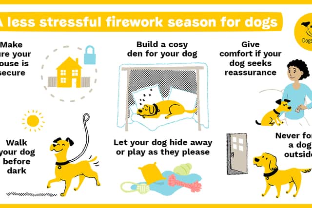 Advice for dog owners during firework season.  Image: Dogs Trust