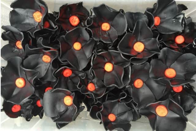 Close-up image of the black poppies. Image: Faith Bebbington 
