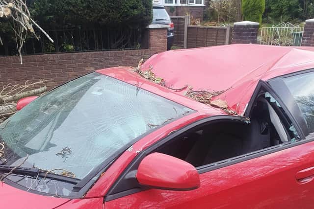 A car is crushed by falling tree in Liverpool. Image: @abbymwx/twitter