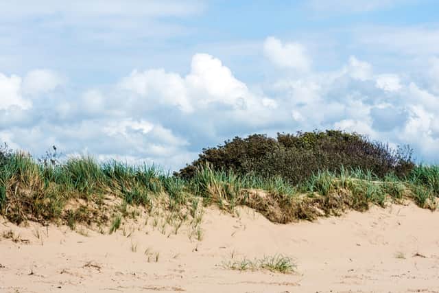 The beach and sand dunes at Hightown.