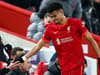 Luis Diaz a Liverpool anomaly after just following in Virgil van Dijk’s rare footsteps 