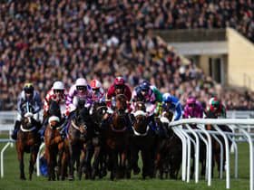 The Cheltenham Festival went ahead in 2020 but was cancelled due to the Covid-19 pandemic in 2021. (Photo by Michael Steele/Getty Images)