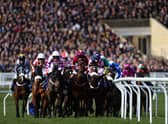 The Cheltenham Festival went ahead in 2020 but was cancelled due to the Covid-19 pandemic in 2021. (Photo by Michael Steele/Getty Images)