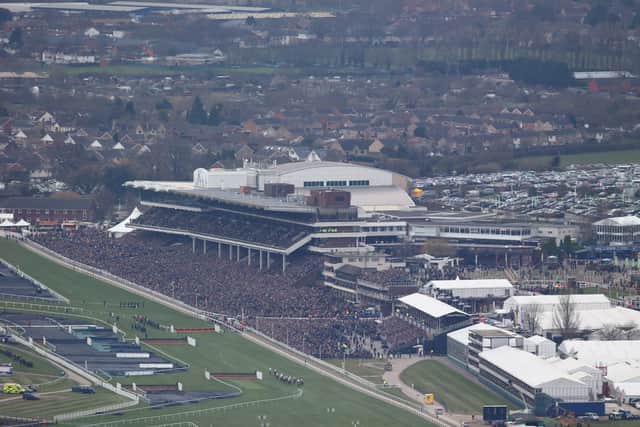 Cheltenham Racecourse. (Photo by Michael Steele/Getty Images)
