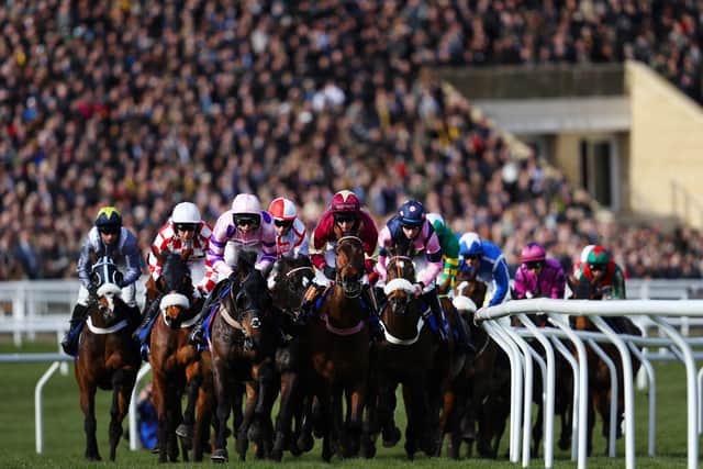 Thousands will descent upon Cheltenham for day one of the festival.  (Photo by Michael Steele/Getty Images)