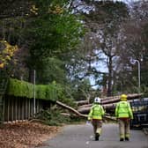 Firefighters arrive to inspect the damage as residents clear branches from a fallen tree in Birkenhead, on November 27, 2021, as Storm Arwen triggered a rare red weather warning. Photo: Paul Ellis/AFP via Getty Images.