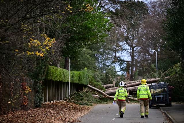 Fire fighters arrive to inspect the damage as residents clear branches from a fallen tree in Birkenhead, on November 27, 2021, as Storm Arwen triggered a rare red weather warning. Photo: Paul Ellis/AFP via Getty Images.