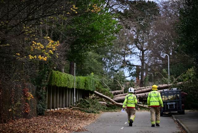 Fire fighters arrive to inspect the damage as residents clear branches from a fallen tree in Birkenhead, on November 27, 2021, as Storm Arwen triggered a rare red weather warning. Photo: Paul Ellis/AFP via Getty Images.
