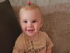 Dog that attacked and killed 17-month-old toddler Bella-Rae Birch was a legal breed