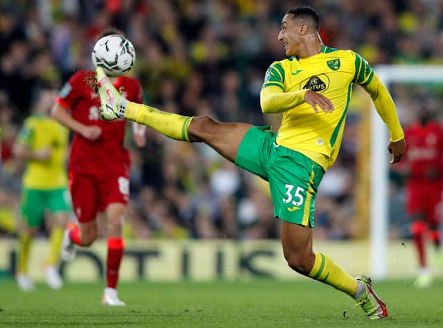 Adam Idah will not play against for Norwich this season. Picture: ADRIAN DENNIS/AFP via Getty Images
