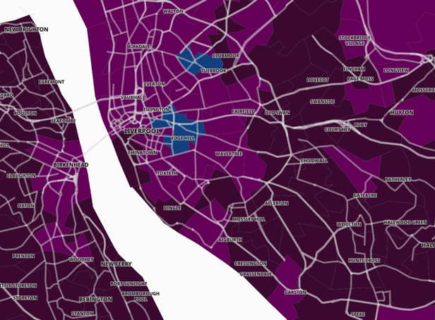 <p>Map of COVID spread in Liverpool, up to March 25. Image: Gov.uk</p>