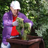 There are varying fees for collection of garden waste across the six councils of the Liverpool City Region. Image: stock.adobe.com