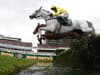 Grand National grey horses 2022: how many grey horses are to run in Aintree showpiece and what are their odds?