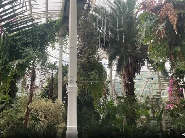 Inside Sefton Park Palm House. Image: LTV