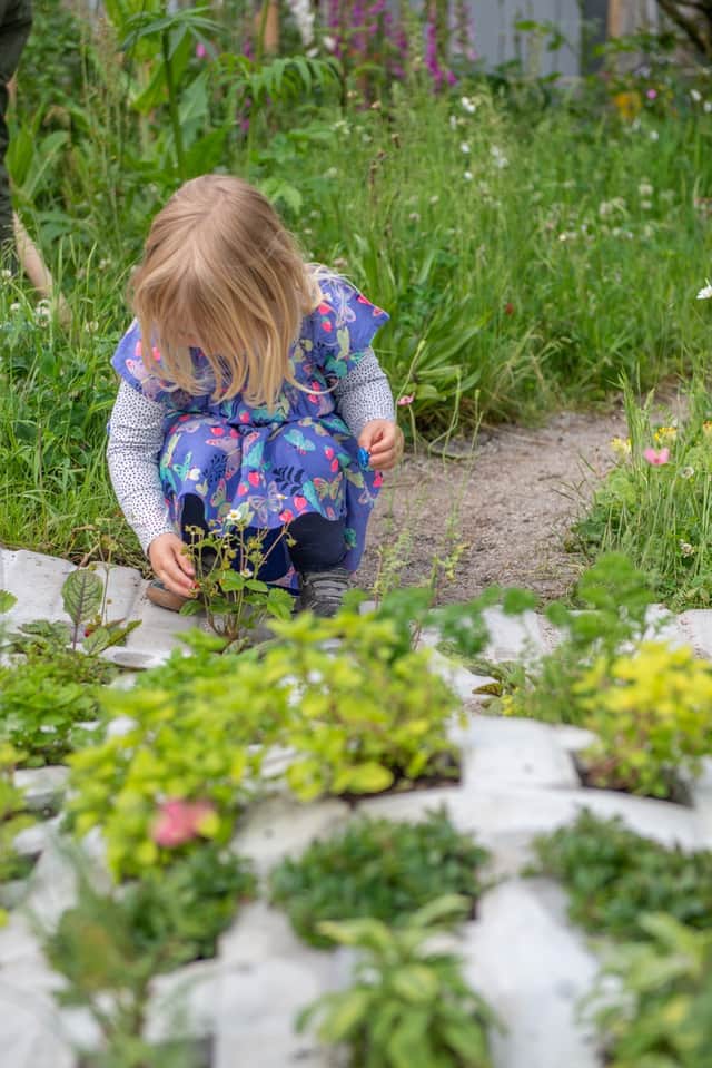 A child examines a strawberry plant in the Urban Foraging Station show garden. Image: Jonathan Ward