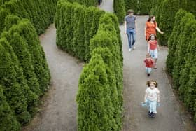 A family explore the maze at Speke Hall. Image: nationaltrust.org.uk
