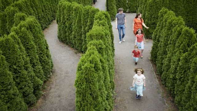 A family explore the maze at Speke Hall. Image: nationaltrust.org.uk