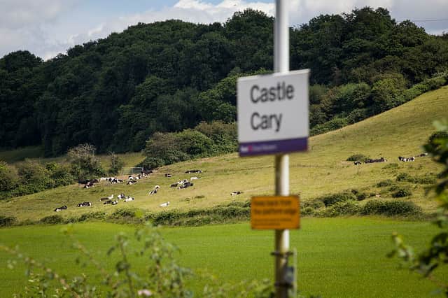 Castle Cary station is the nearest train station to the Glastonbury Festival site (Photo: Rob Stothard/Getty Images)