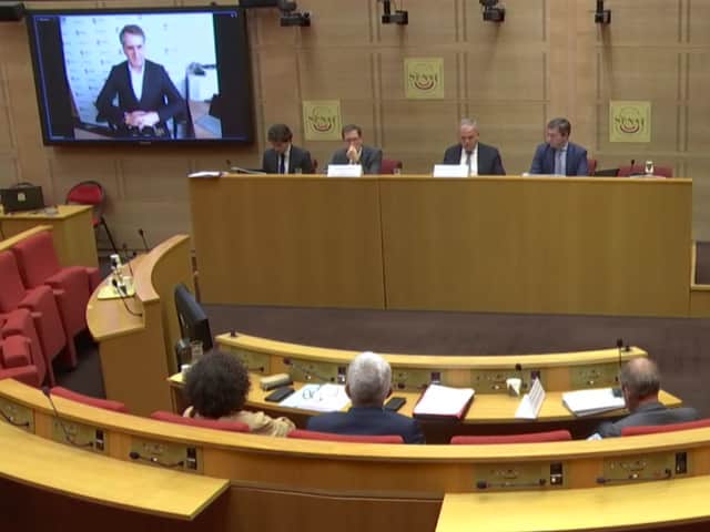 <p>Steve Rotheram speaks via video link to the French Senate</p>
