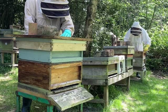 Beekeepers at the South Liverpool site.