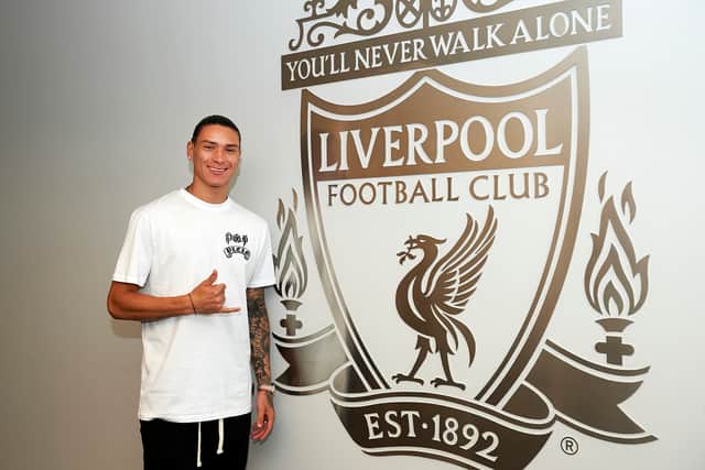 Darwin Nunez has signed for Liverpool. Picture: Nick Taylor/Liverpool FC/Liverpool FC via Getty Images