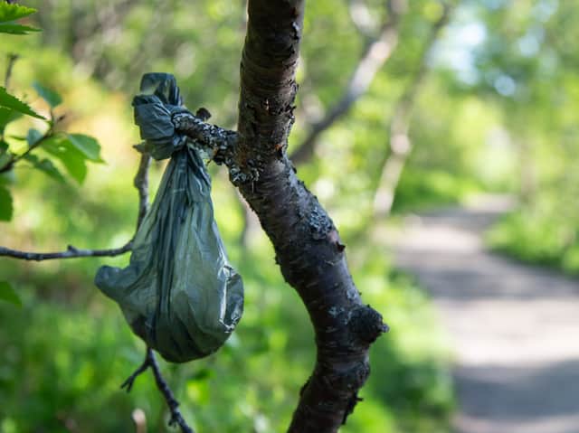 The all too familiar site of a dog poo bag hanging in a tree. Image: Anders Haukland - stock.adobe.co