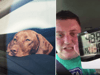 Watch: RSPCA officer shuts himself in hot car for half an hour to show how dogs suffer