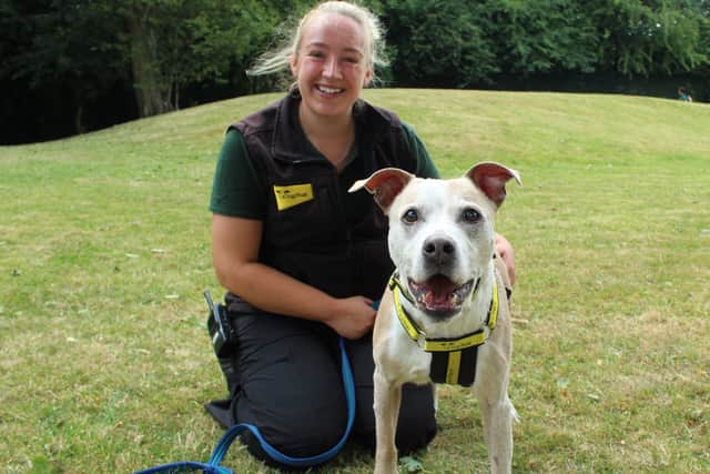 Buddy, pictured with Canine Carer Freya McVey.