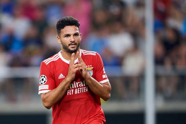 Newcastle United have shown an interest in Benfica’s Goncalo Ramos. (Photo by Adam Nurkiewicz/Getty Images)