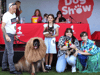 Liverpool ONE Dog Show is back for 2022 and open for entries - categories, date and entry requirements