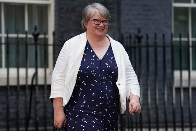 Therese Coffey has been appointed as Health Secretary and Deputy Prime Minster. (Credit: Getty Images)