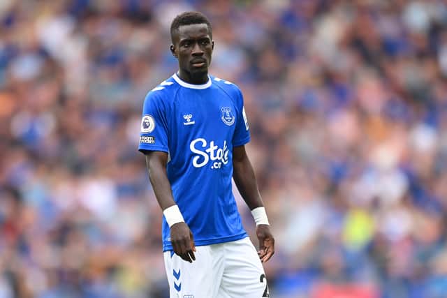 Everton midfielder Idrissa Gana Gueye. Picture: Michael Regan/Getty Images