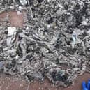 A community group in Rock Ferry said they had found thousands of wet wipes they think come from sewage. Credit: Adrian Keeler. 