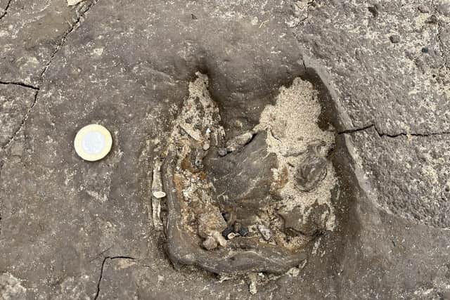 Red deer hoofprint in the ancient mud on Formby beach radiocarbon dated to about 8500 years ago. Image: Jamie Woodward/SWNS