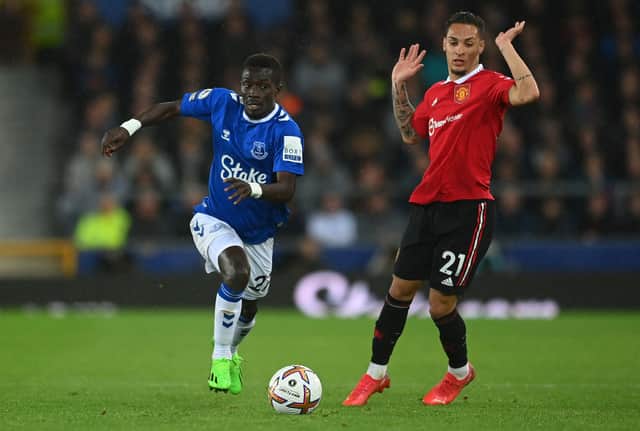 Everton midfielder Idrissa Gana Gueye. Picture: Michael Regan/Getty Images