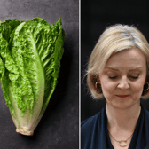 A national newspaper ran a live stream to see if a lettuce could outlast Liz Truss’ premiership.