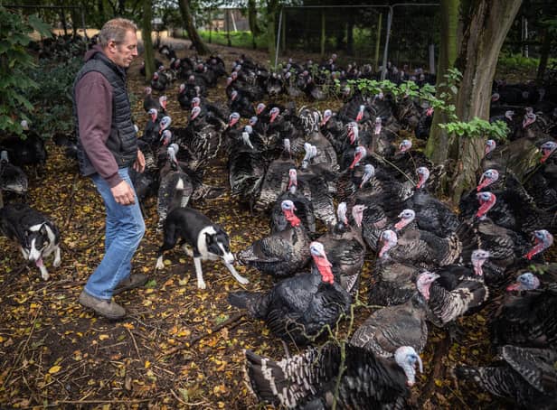 <p>Childerhouse, who runs 35-acre Whews Farm in Norfolk, had to cull his 10,000-strong flock of turkeys earlier this autumn. </p>