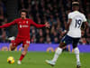 ‘So unnecessary’ - Former Liverpool stars deliver ‘rash’ verdict on Tottenham Hotspur penalty appeal