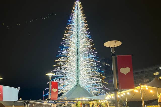 The new tree stands at the centre of Liverpool Alpine Village in Chavasse Park.