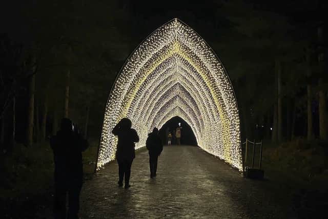  Christmas Cathedral at Dealmere Forest