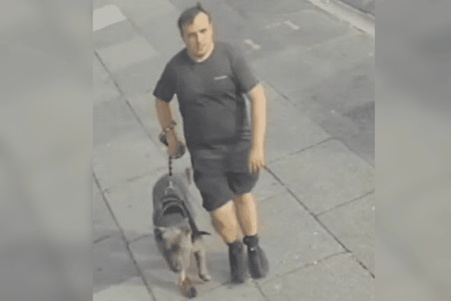 CCTV image of the XL Bully dog being walked in West Derby.