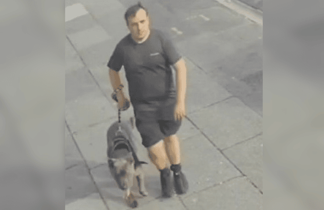 CCTV image of the XL Bully dog being walked in West Derby.