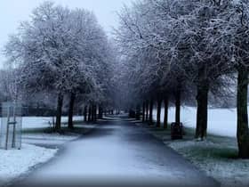 Snow covered Liverpools parks on Saturday. Image: Alice Oliver