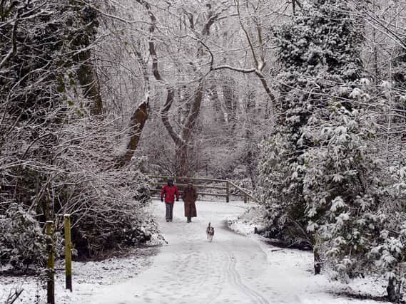 A couple walk their dog through a snow-covered Birkenhead Park. Image: Paul Ellis/AFP/Getty