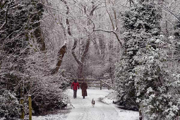 A couple walk their dog through a snow-covered Birkenhead Park. Image: Paul Ellis/AFP/Getty