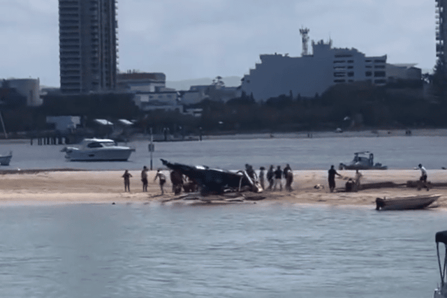 Four people died after two helicopters crashed near the Sea World theme park on Australia’s Gold Coast.